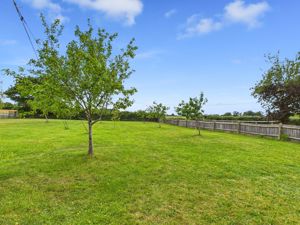 Orchard- click for photo gallery